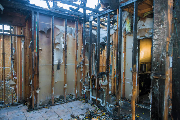 Professional Fire Damage Removal technician working in Alva, FL