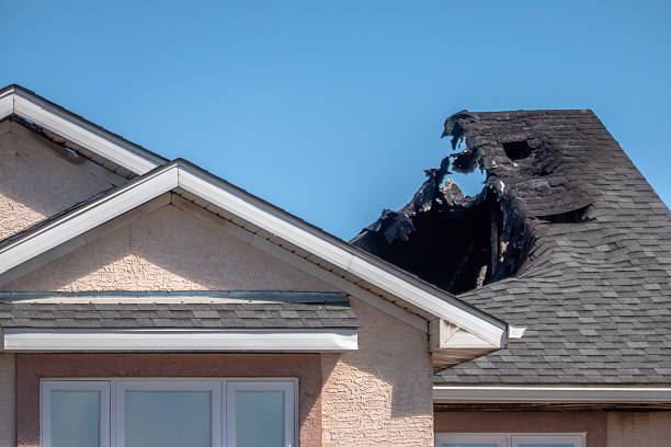 Top rated local Fire Damage Removal specialists in Alva, FL